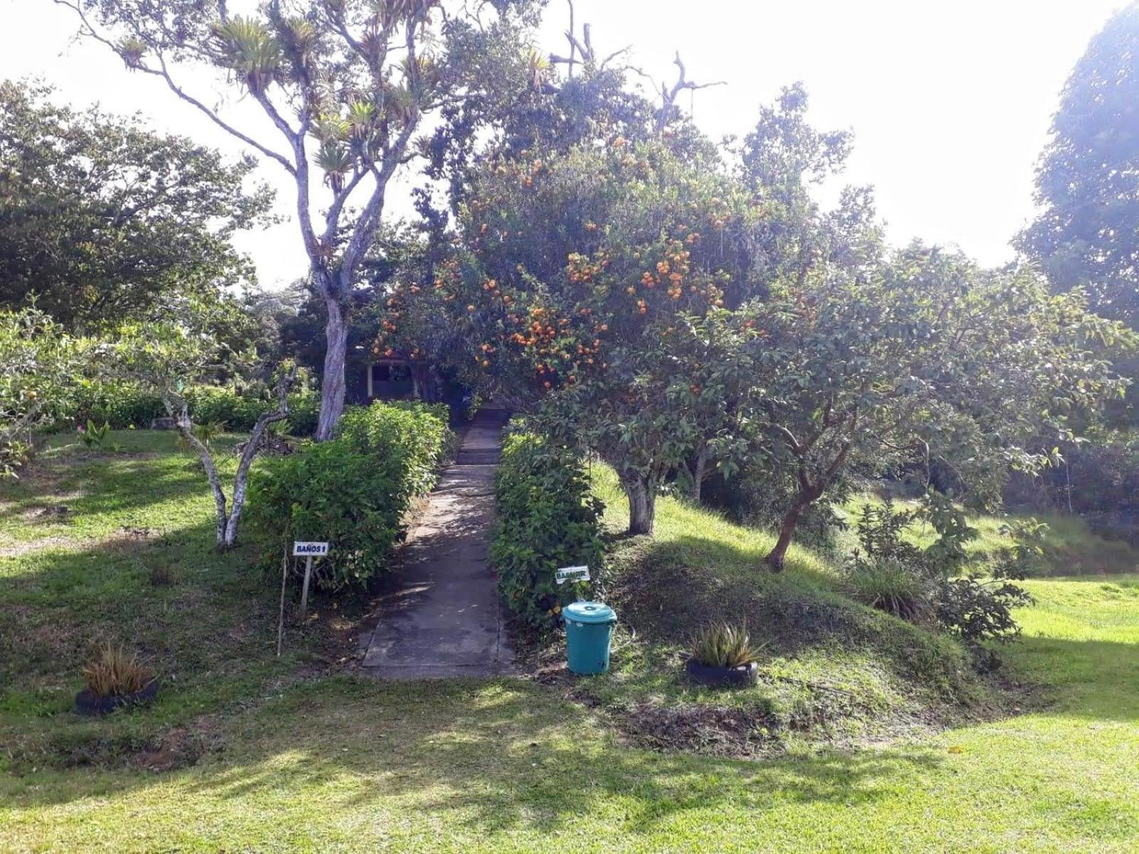 Del Camino Real Campsite Guaduas