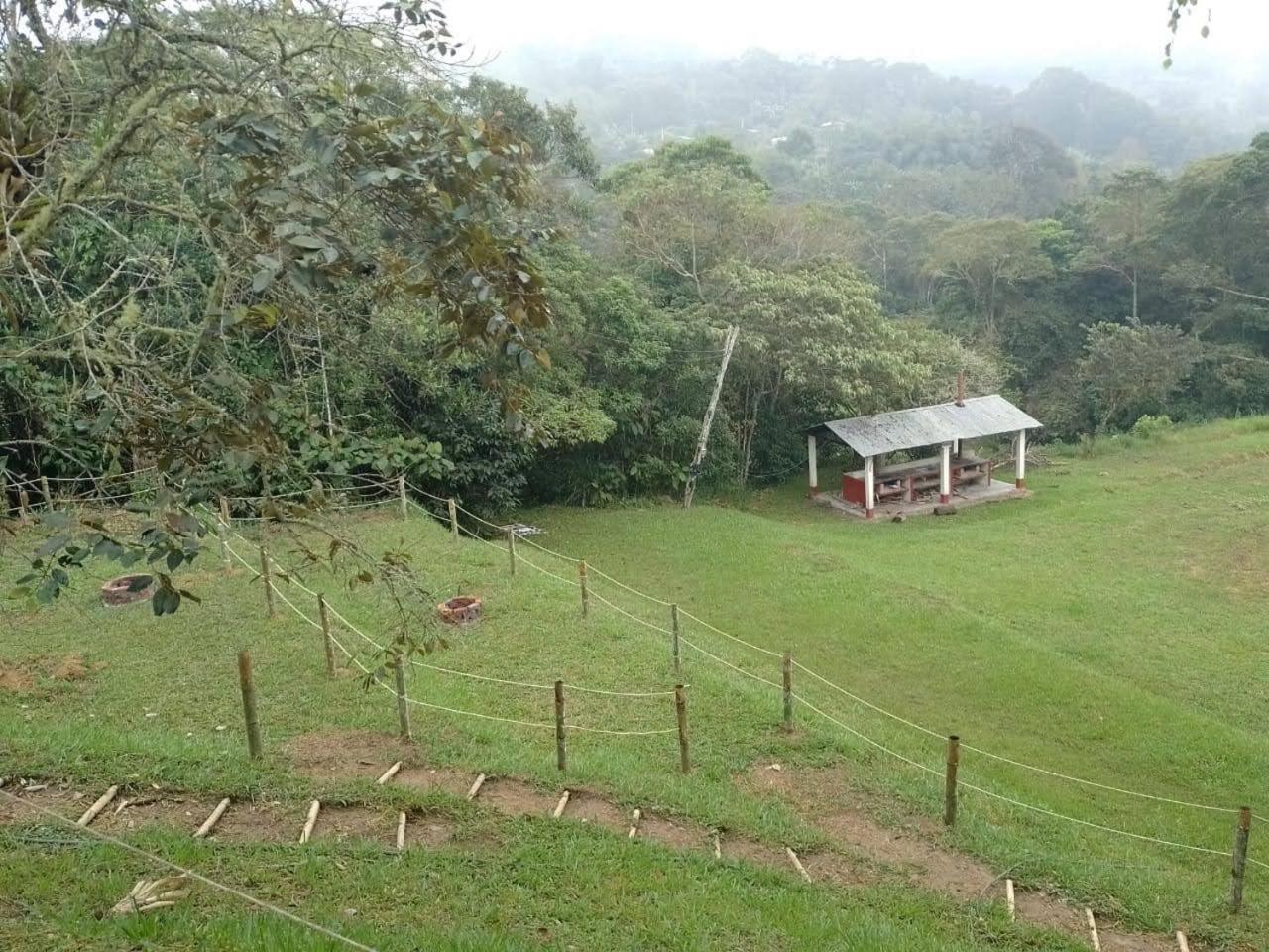 Del Camino Real Campsite