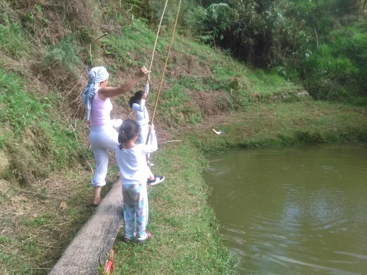 Campsite Del Camino Real Guaduas
